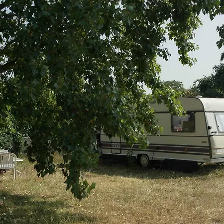 Campsite Camping Behe