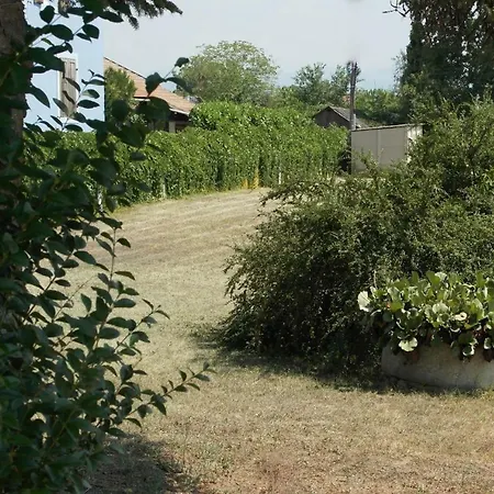 Campsite Camping Behe